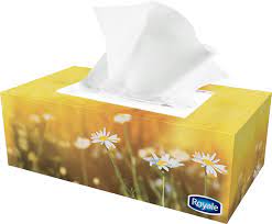Royale Facial Tissue (2 Ply) - 126 Sheets (36 Case) image