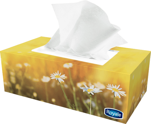 Royale Facial Tissue (2 Ply) - 126 Sheets image