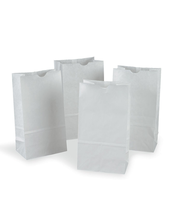 White Kraft Paper Bags (6