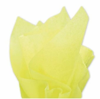 School Start Tissue Paper (20