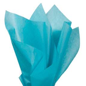 School Start Tissue Paper (20