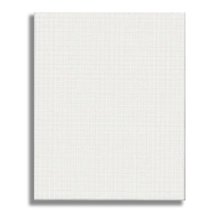 Canvas Panel (8