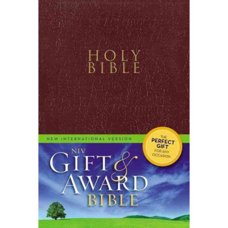 NIV Bible image