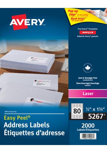 School Start Student Labels (1/2